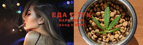 индика Алзамай