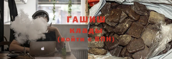 шишки Абаза