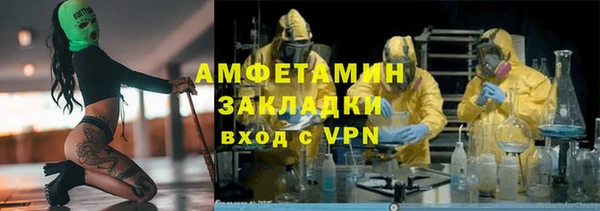шишки Абаза