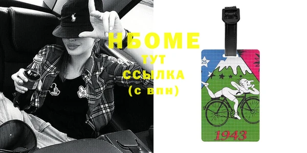 индика Алзамай